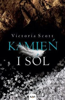 Recenzja książki Kamień i sól - Victoria Scott